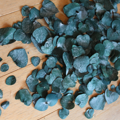 TEAL GREEN EUCALYPTUS TOSS